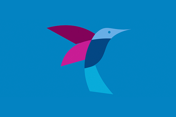 graphic of a bird on a blue background