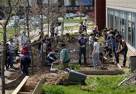 community garden event